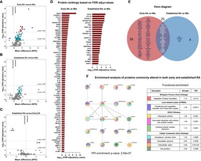 Exploring candidate biomarkers for rheumatoid arthritis through cardiovascular and cardiometabolic serum proteome profiling